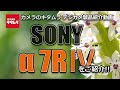 ソニー α7R IV（カメラのキタムラ動画_SONY） の動画、YouTube動画。