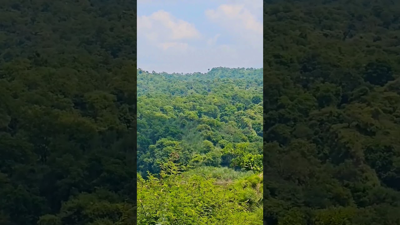 Hoshiarpur: The Hidden Gem of Punjab 