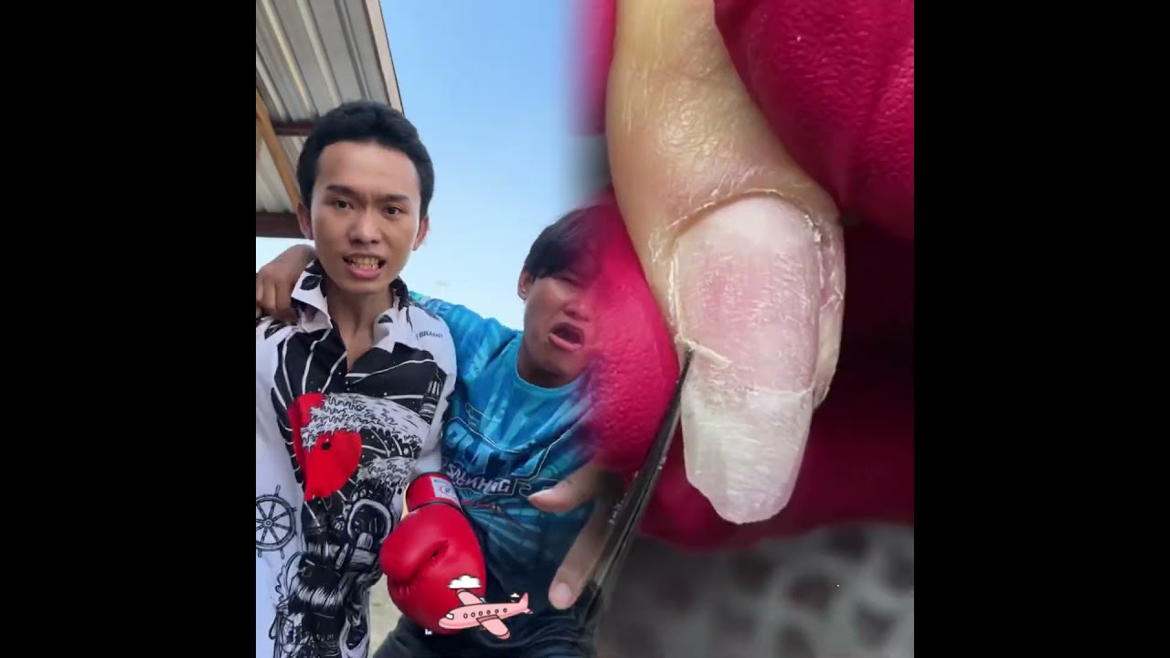  Funny Lifeisbutadream Diy Whowillbemylifepartnerta Comedy Haveitoldyoulatelythatiloveyou