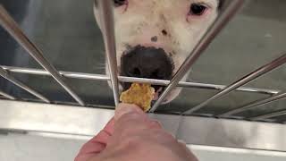 acs A668249