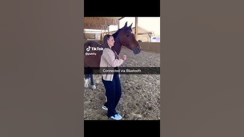 The Bluetooth device has been connected successfully #memes #funny #meme #shorts #viral #fyp #comedy