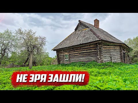 Видео: Зашли в заброшенный дом и ахнули! | Орловская обл, Знаменский р/н д. Пешково