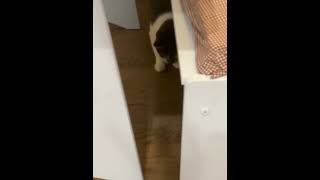 IMG 2750 1