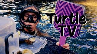Turtle TV / Season 2/ Episode 4