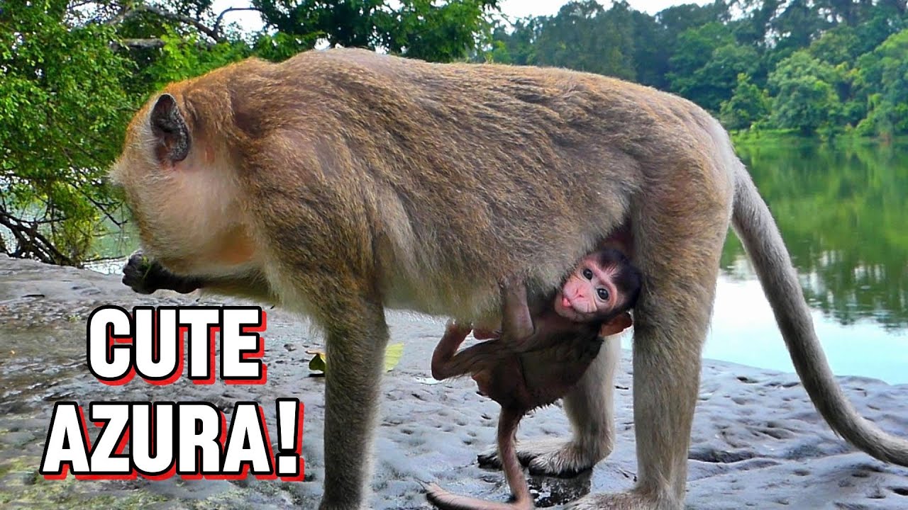 Super Glued! Azura Sticks to Her Mommy,