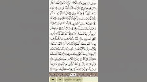 سورة الأحقاف كاملة