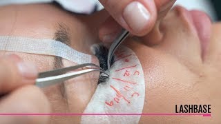 Volume Lashes By Lashbase