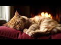 ASMR Soft Cat Purring & Crackling Fireplace 🔥 | Fall Asleep Fast