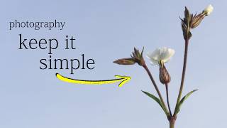 Uncomplicated photography - simplicity wins every time