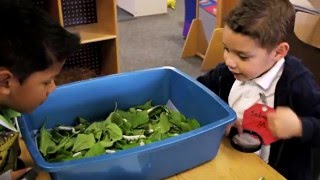 Preschool in Action