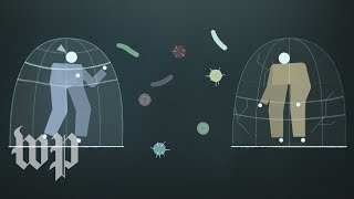 Being immunocompromised during the coronavirus outbreak