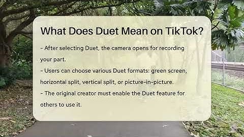 What Does Duet Mean on TikTok? - Everyday-Networking