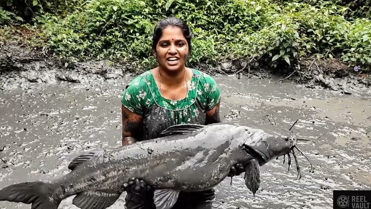 Cleaning the Pond and Finding Fish
