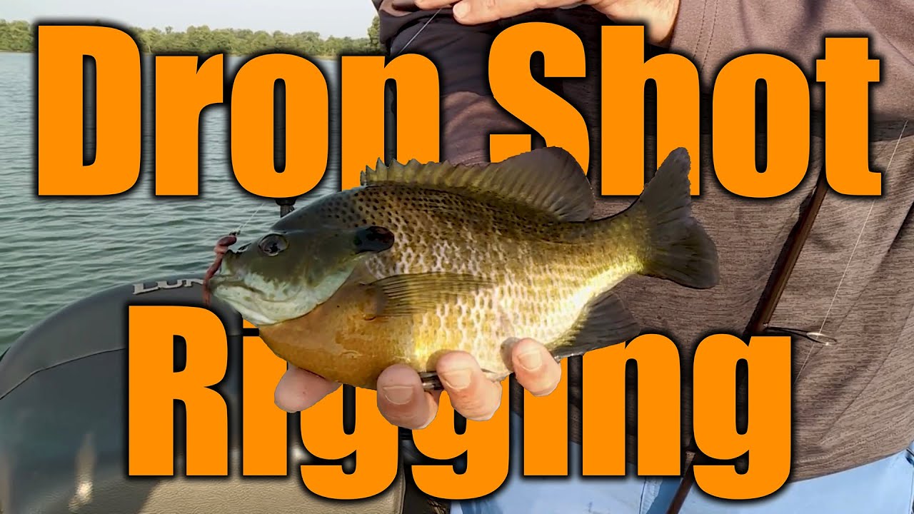 Drop Shot Rigging Panfish