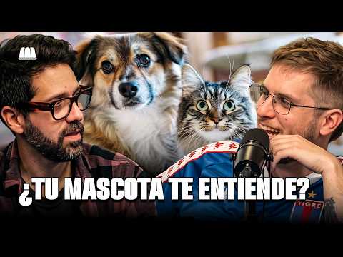 What's GOING THROUGH the MINDS of ANIMALS? | Juan Cruz BALIAN on INDUSTRIA NACIONAL