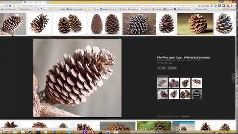 How to quickly and easily upload an image to imgur