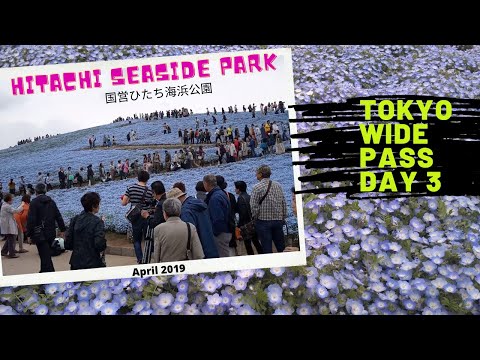 Tokyo Wide Pass Day 3 (April 2019) | Hitachi Seaside Park