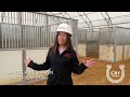 Canterbury Park racing infrastructure project - March 2024 update