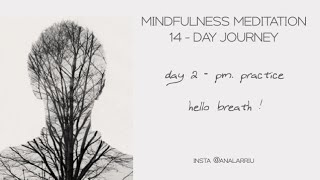day 2 - PRACTICE "hello breath"