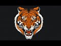 Tiger intro 🔥 ||  #Intro