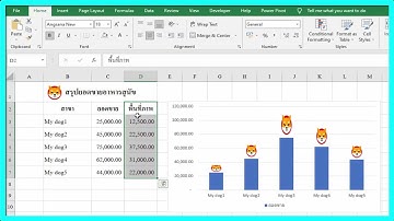 ใส่ภาพบนแท่งกราฟ Excel