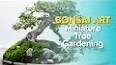 The Enchanting World of Bonsai: A Guide to the Art of Miniature Trees ile ilgili video