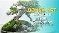 The Art of Bonsai: A Miniature Masterpiece ile ilgili video