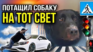 Собака кричала от боли, под ледяным дождем, а он ушёл не обернувшись. ТОСЯ