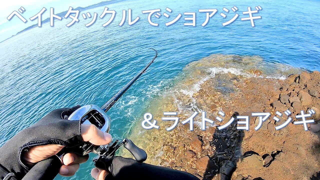 3 【ベイト ショアジギング ライトショアジギング】アンタレスDCと