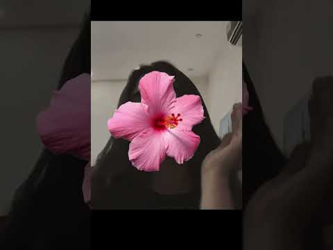 ويه الهوى شعرك صعد الايك الاشتراك