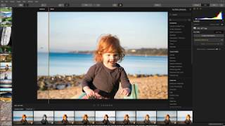 Luminar Accent AI 2.0