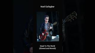 Noel Gallagher - Dead To The World (Slowed And Reverbs)