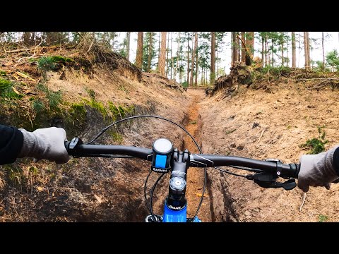 MTB Utrechtse Heuvelrug -  Full ride LAGE VUURSCHE in 4K - Gopro Hero 8