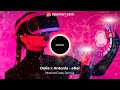 Delia X Antonia ERai MotionFade DnB Remix mp3