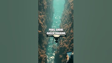 Silent Currents Neural Mapper