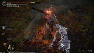 147 - Central Altus Plateau - Black Knife Assassin