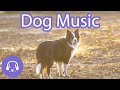 Dog Music: Soothing Summer Relaxation Playlist for Dogs