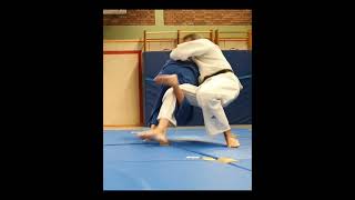 Judo/Beautiful Throw/Отличный Бросок/#Shorts