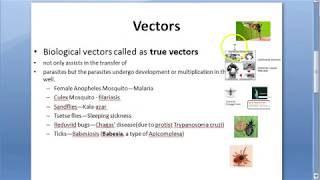 Parasitology 002 a Vectors Vector Borne diseases Biological Mechanical Mosquito malaria housefly