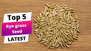 ✅ Best rye grass seed: Rye grass seed (Buying Guide)