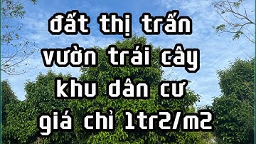 anh bình cần bán gấp vườn trái cây đầy tâm huyết của mình để trả nợ ở châu đức bà rịa vũng tàu rẻ