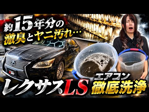 ぬぬふぁくとりー - YouTube