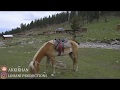 Travel VLOG Gilgit-Hunza-Khujeraab-Fairy Meadows | TRAILER
