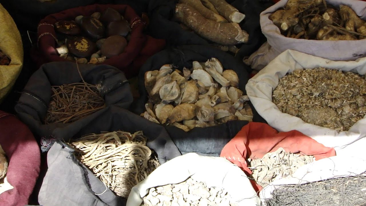 Medicinal Plants of Bastar (Renoprotective) Pankaj Oudhia's Medicinal