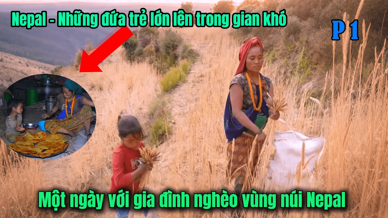 P1 -Cuộc Sống Nghèo Khó Vùng Núi Nepal - Hoang Dã Khắc Nghiệt