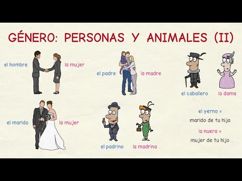 Aprender español: El género de personas y animales II (nivel intermedio)
