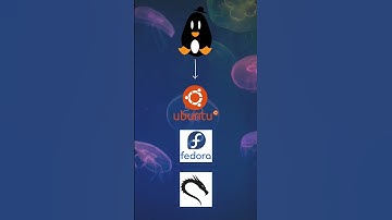 What is Linux? 💻​ #Shorts #Linux #TechExplained #Programming #Coding #Technology  #LinuxForBeginners