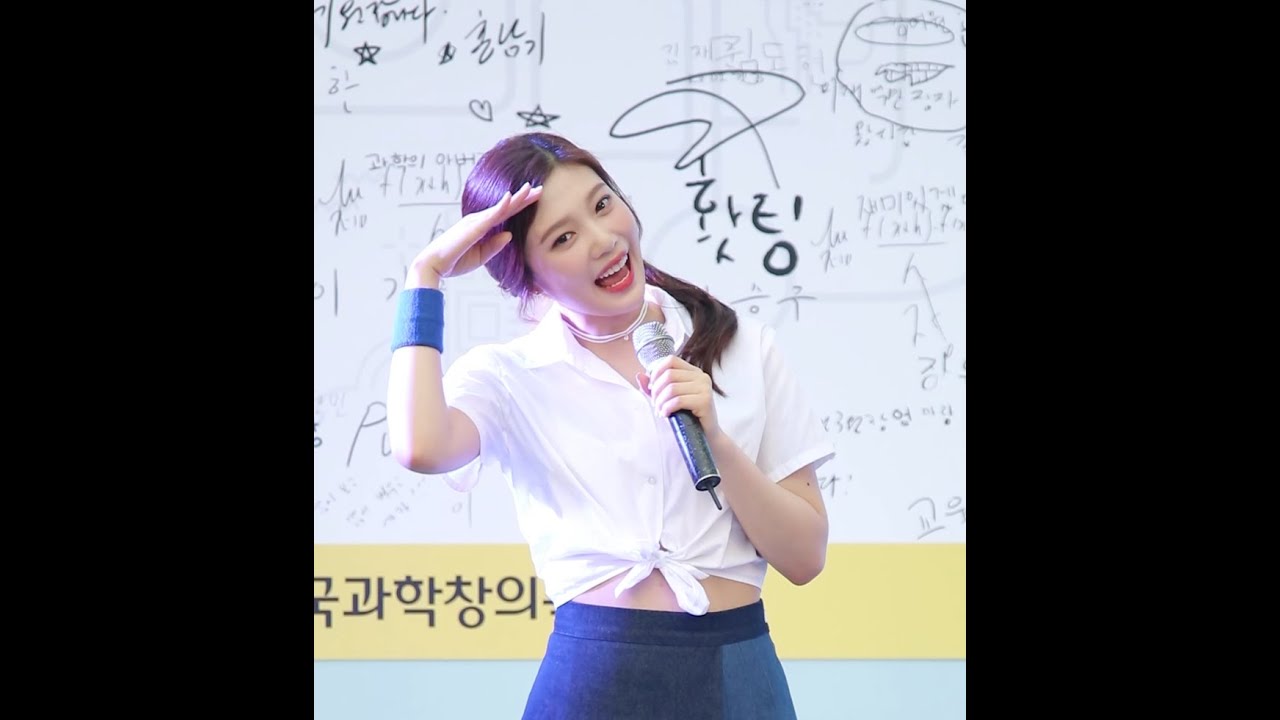 160806 레드벨벳 (RED VELVET) 조이 (JOY) 'Somethin Kinda Crazy' @대한민국과학창의축전 KPOP FANCAM 직캠 by TaeEon