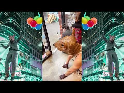 Buddy the Rat Compilation #2