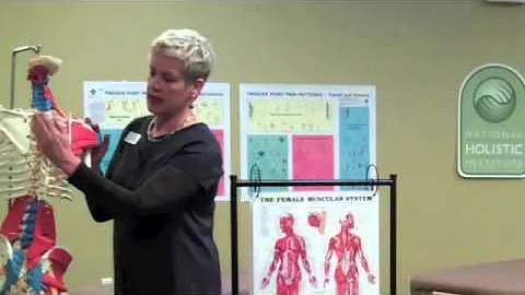 Basics of Chair Massage with Melissa Wheeler | The...
